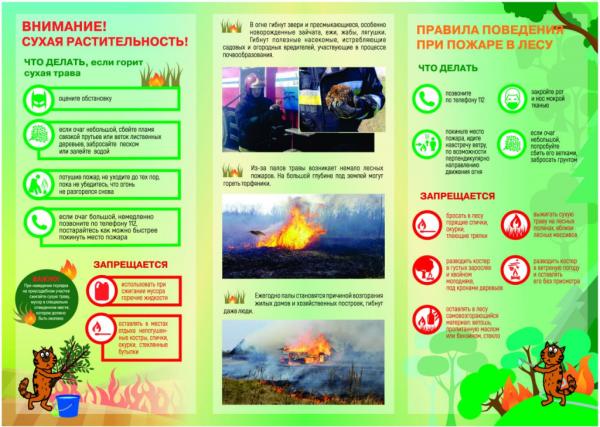 Внимание! Сухая растительность!