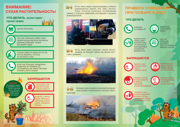 МЧС предупреждает об опасности палов сухой растительности!