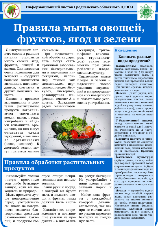 Основные правила обработки растительных продуктов 